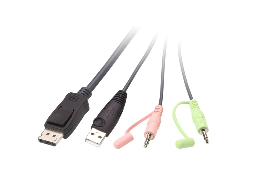 Aten USB 2-Port DisplayPort Cable With Remote Port Selector KVM Switch