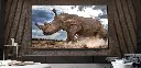 LG 55 inch evo C4 Series OLED webOS Smart TV |OLED55C4