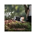 TP-Link M7450 LTE-Advanced Mobile Wi-Fi Router – Dual-Band Wi-Fi 6, 150Mbps 4G LTE, 2.4" Touchscreen, 12-Hour Battery