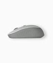 Astrum MW210 Wireless Mouse