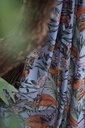 Out Of Africa Monkey Watch Clear Skies Printed Cotton Fabric (280cm Wide)