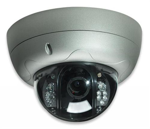 Intellinet PRO Serie R Dome Network Camera