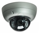 Intellinet PRO Serie R Network Dome | 550413