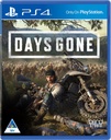 PS4 Game Days Gone