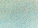 Caprice Outdoor - Eva Teflon Coated Upholstery Fabric in Tiffany (160cm Wide)