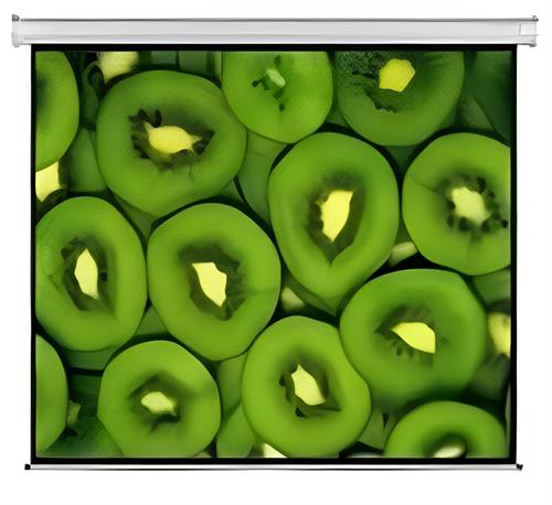 Esquire Electric Projector Screen 300×169 cm, Motorized, 4:3 Format, Wall Mount SKU: CEW300