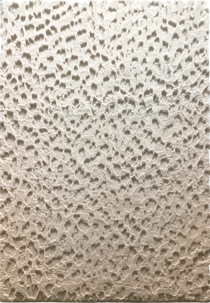 Silkhouse Wadi Golden Sand Rug 160×230