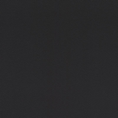 Silkhouse Skin Deep Noir Wallpaper Casa Mila