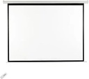 HTPNEO 100EM169 100" Electronic Projector Screen  