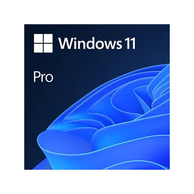 Windows 11 Pro 64-bit ESD License Lifetime Key