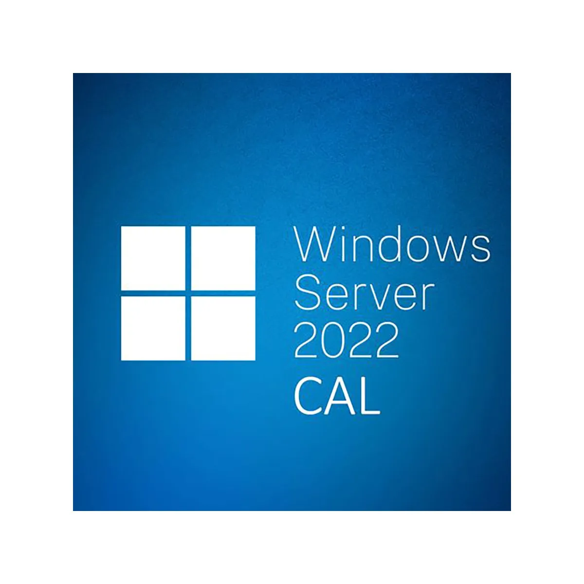 Windows Server 2022 5-User CAL (R18-06466) – English 1-Pack DSP