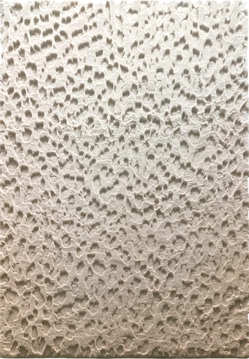 Silkhouse Wadi Golden Sand Rug 160×230 cm Abstract Low Pile