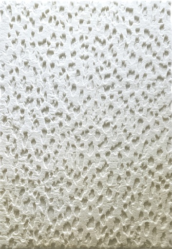 Silkhouse Wadi Beach Rug 160×230