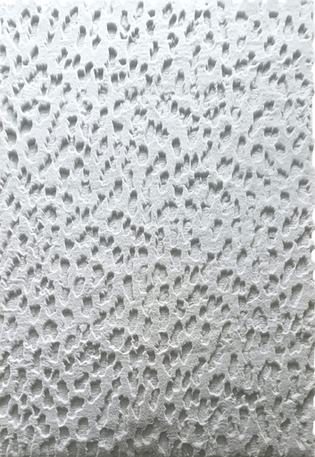 Silkhouse Wadi Mist Rug 160×230