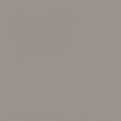 Silkhouse Skin Deep Elephant Wallpaper Casa Mila